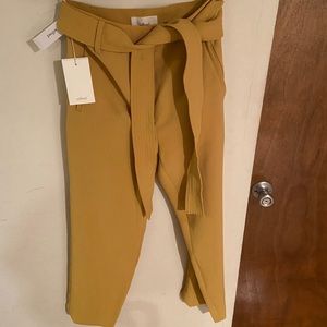 Aritzia Tie-Front Cropped Pants